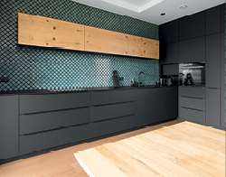 Un ambiente negro, especialmente en la cocina, refleja un acogedor espacios de retiro.